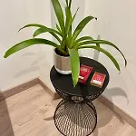 Saint James, Centre Historique De * Каор