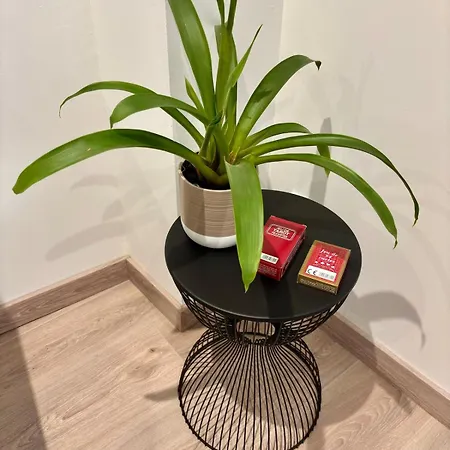 Saint James, Centre Historique De * 카오르